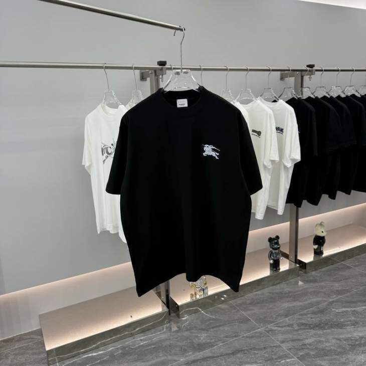 Picture of Burberry T Shirts Short _SKUBurberryS-2XLhgntx5019829